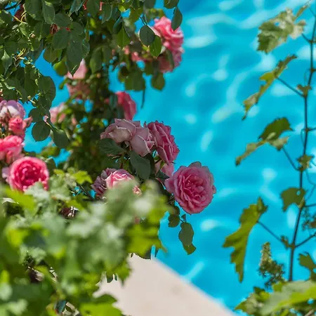 Bella Vista Vila Barat (Porec)