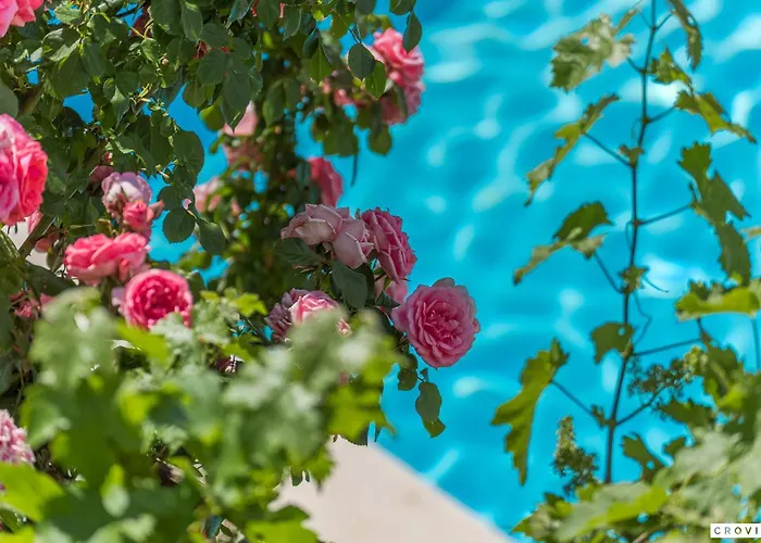 Bella Vista 别墅 Barat (Porec)